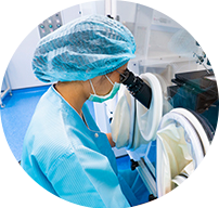 胚胎移植/筛查(10-15天)